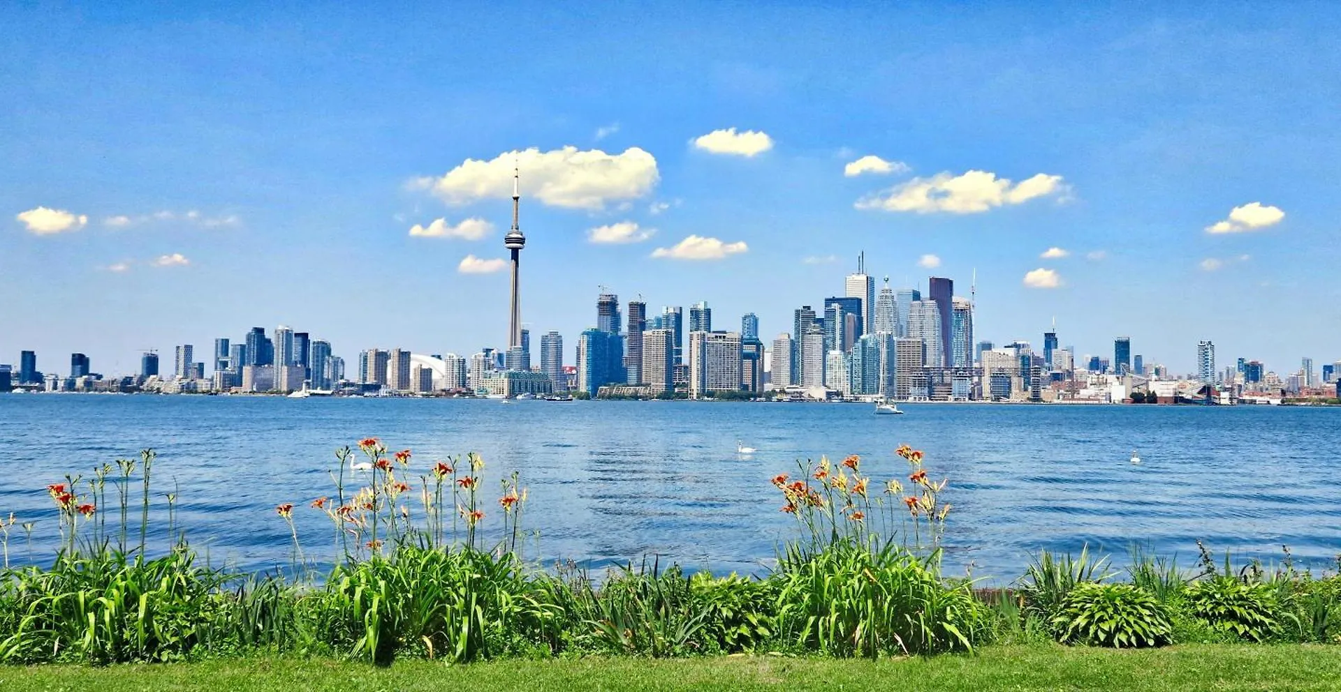 Cn Tower Luxe Suites - Prime Downtown Location location
